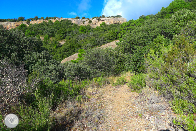 Ruta circular per la serra de Sant Honorat 1 