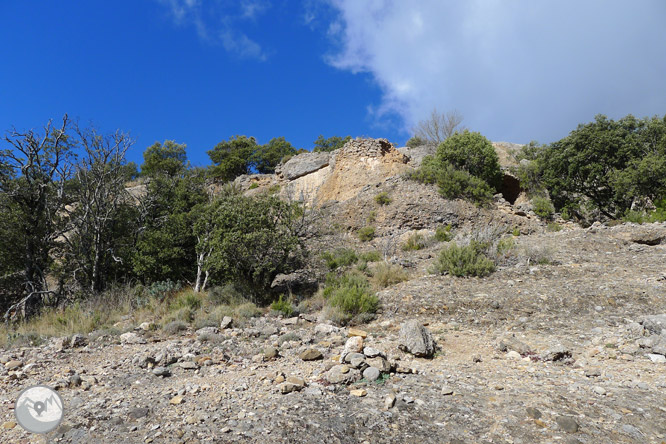 Ruta circular per la serra de Sant Honorat 1 