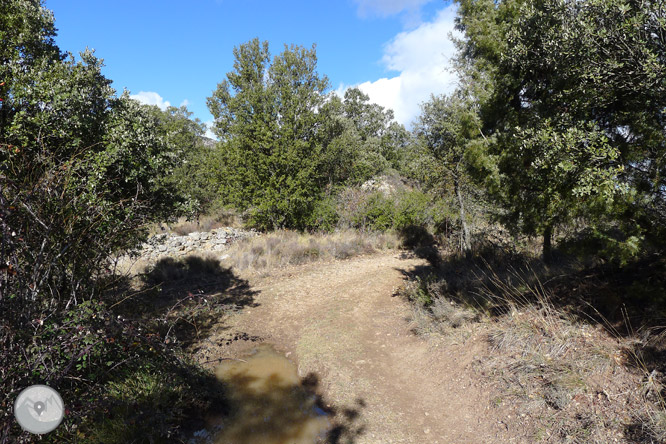 Ruta circular per la serra de Sant Honorat 1 