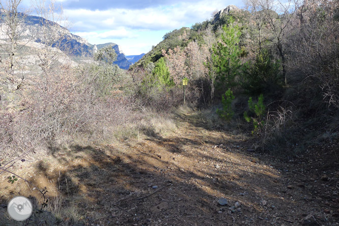 Ruta circular per la serra de Sant Honorat 1 