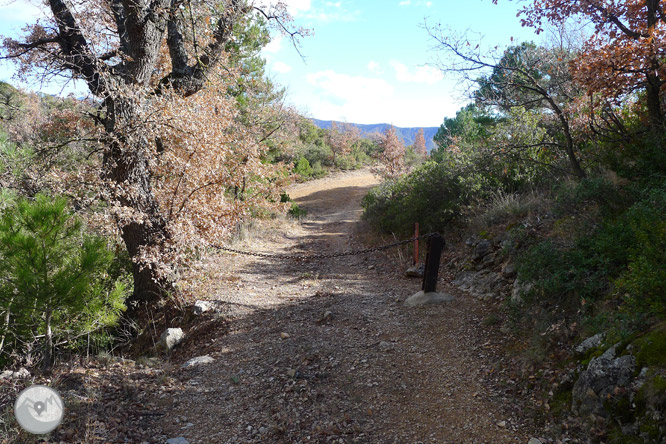 Ruta circular per la serra de Sant Honorat 1 