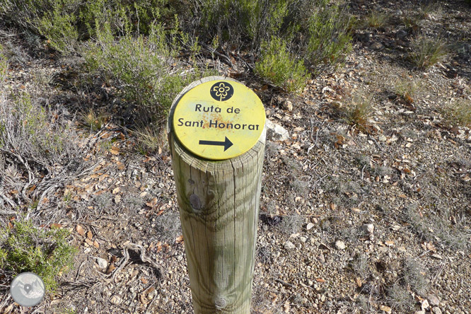 Ruta circular per la serra de Sant Honorat 1 