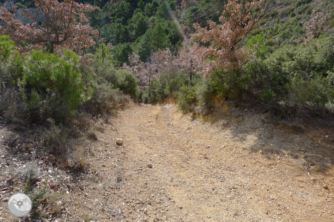 Ruta circular per la serra de Sant Honorat 1 