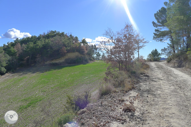 Ruta circular per la serra de Sant Honorat 1 