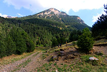 Topem amb la pista forestal. Però nosaltres seguim pujant pel camí.