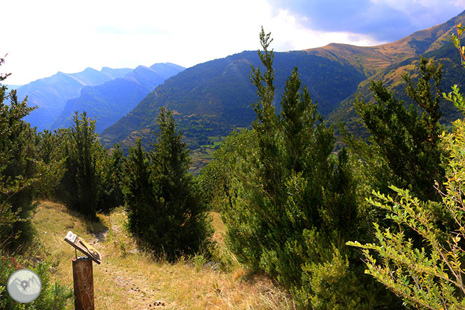 Ruta de la fauna de Senet 1 