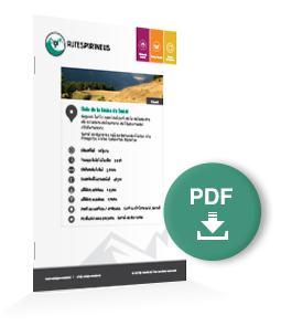 pdf-ruta