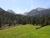 Planell d´Aigüestortes i estany de la Llebreta