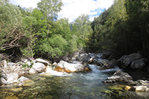 Riu de Sant Nicolau, hàbitat natural de la llúdriga (encara que és molt difícil poder-ne veure).