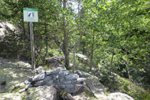 Font de la Cova del Sardo.