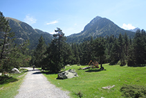 El camí es torna ample i planer.