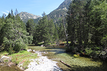 Aigüestortes: el riu de Sant Nicolau avança pausadament entre prats i boscos.