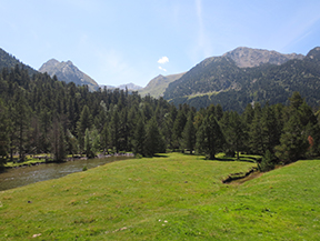 Planell d´Aigüestortes i estany de la Llebreta