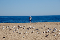 Platja de Lloret de Mar.