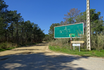 Camí a Sant Pere del Bosc.