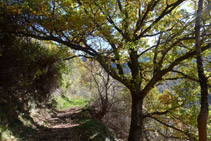 El camí és fàcil i molt agradable.