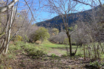 Arribem al fons de la vall i ens trobem el trencall de la font de Canemassos.