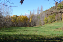 Boniques vistes de la vall del riu del Cantó.