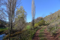 Pista de terra que puja cap a Llagunes.