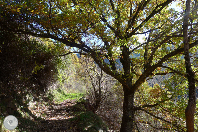 Ruta de les fonts de Llagunes 1 