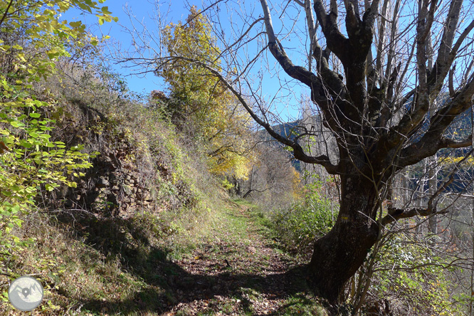 Ruta de les fonts de Llagunes 1 