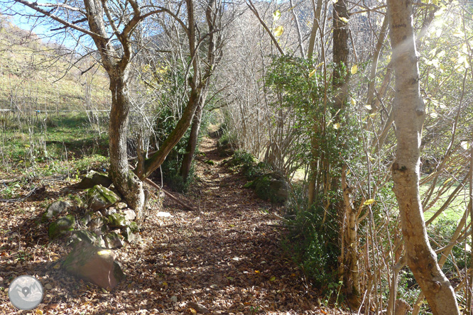 Ruta de les fonts de Llagunes 1 