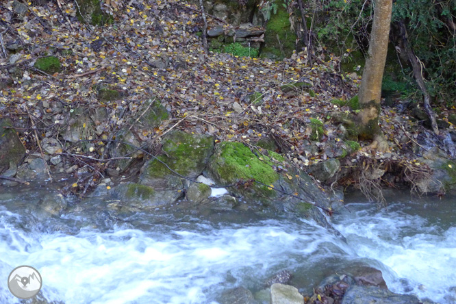 Ruta de les fonts de Llagunes 1 