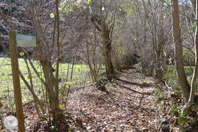 Ruta de les fonts de Llagunes 1 