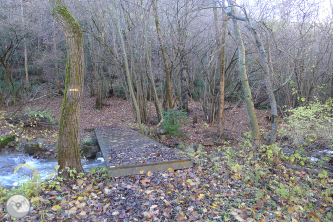 Ruta de les fonts de Llagunes 1 