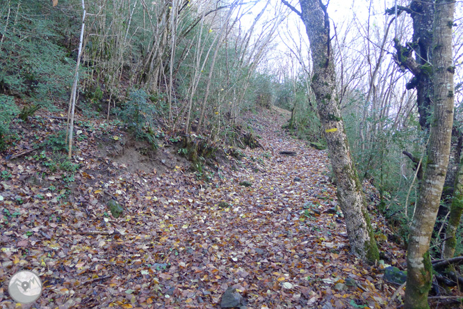 Ruta de les fonts de Llagunes 1 