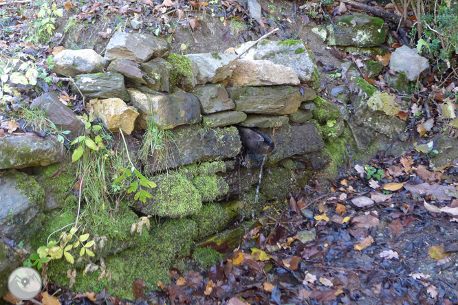 Ruta de les fonts de Llagunes 1 