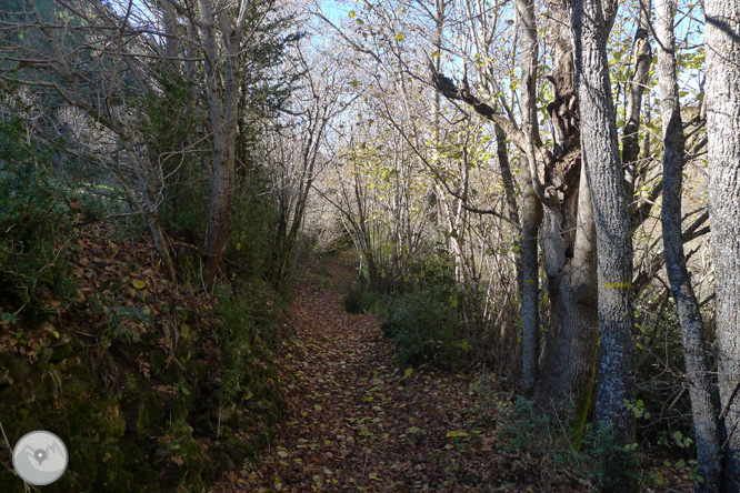 Ruta de les fonts de Llagunes 1 