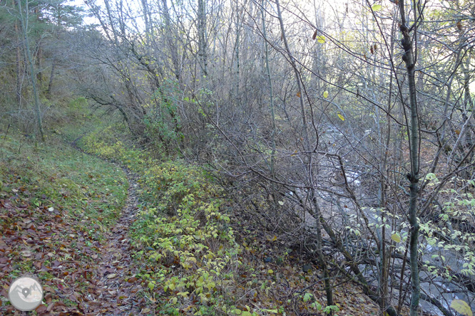 Ruta de les fonts de Llagunes 1 