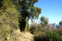 Flanquejant el serrat de la Palomera.