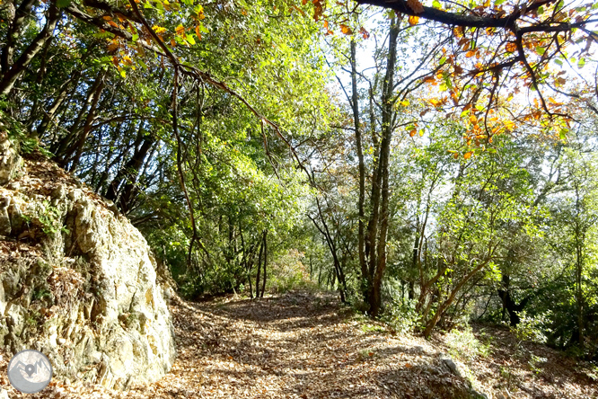 Ruta de les pedreres de la Cellera de Ter 1 