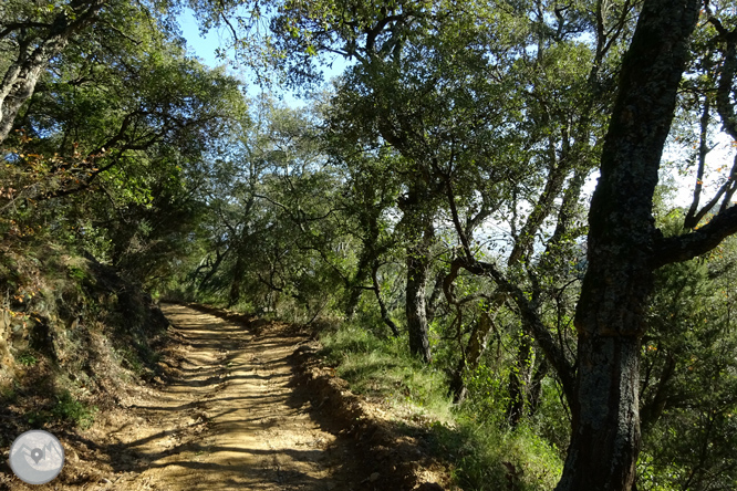 Ruta de les pedreres de la Cellera de Ter 1 