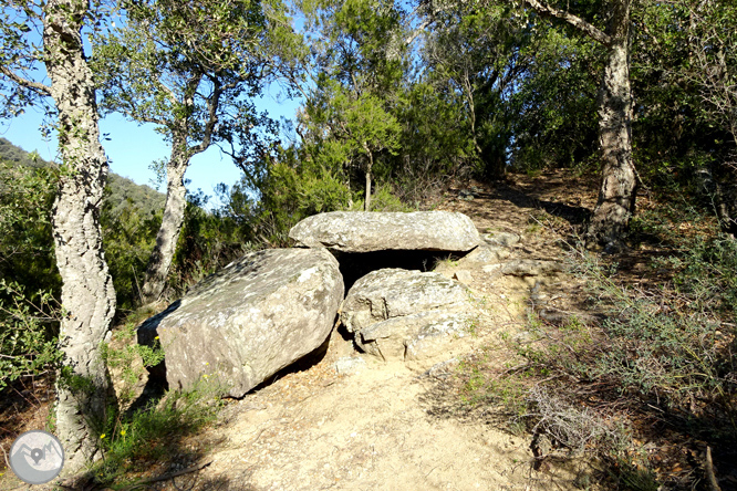 Ruta de les pedreres de la Cellera de Ter 1 