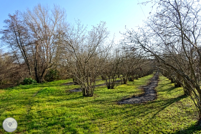 Ruta Voramera i Via Verda a Amer 1 