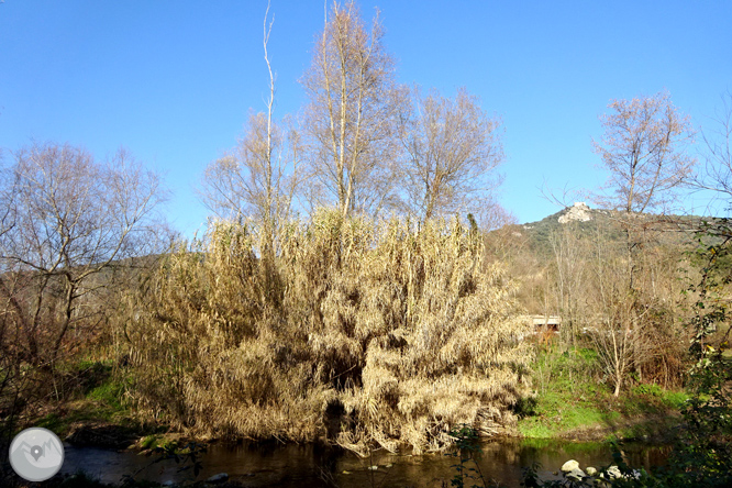 Ruta Voramera i Via Verda a Amer 1 