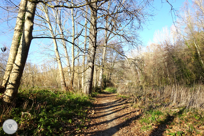 Ruta Voramera i Via Verda a Amer 1 