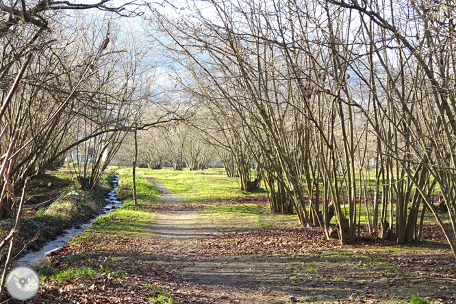 Ruta Voramera i Via Verda a Amer 1 