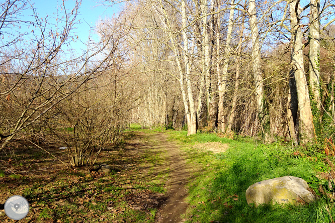 Ruta Voramera i Via Verda a Amer 1 