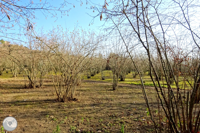 Ruta Voramera i Via Verda a Amer 1 