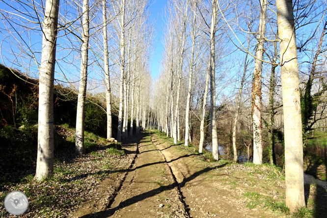 Ruta Voramera i Via Verda a Amer 1 