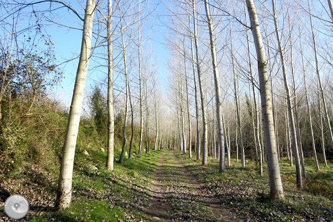 Ruta Voramera i Via Verda a Amer 1 