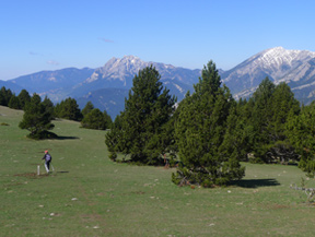 Ruta del Trencapinyes i mirador dels Orris