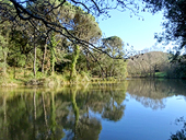 Ruta dels pantans d´en Llobet a Vidreres