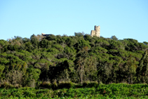 Restes del castell de Sant Iscle.