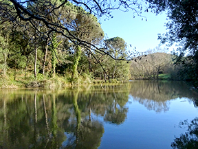 Ruta dels pantans d´en Llobet a Vidreres