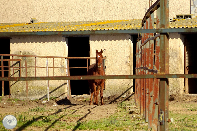 Ruta dels pantans d